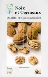 noix et cerneaux